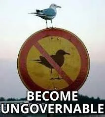 agorism bird